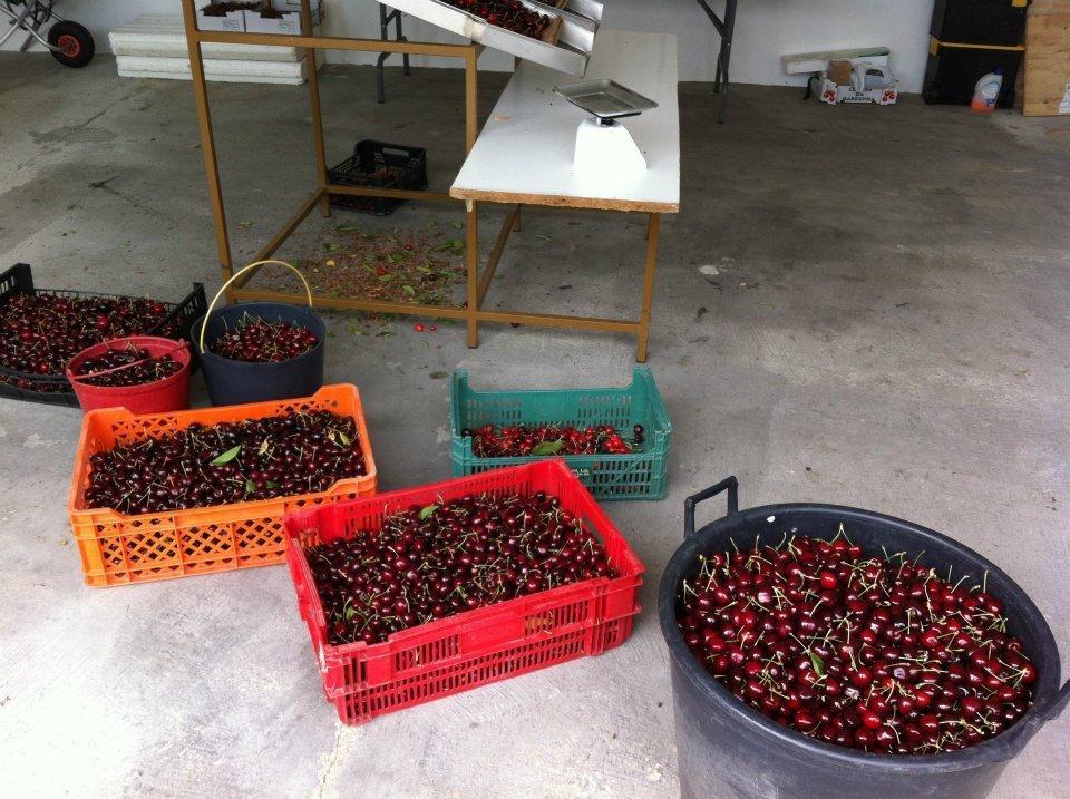 萨尔奎拉尔酒店 凡道 外观 照片